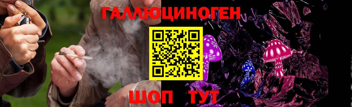 Псилоцибиновые грибы Psilocybine cubensis  Галлюциногенные грибы мицелий  Камышин  Вход с VPN 